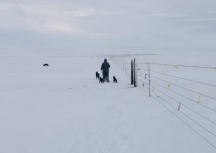 Deron SnowShoeing Vast Snow 2016-12-27