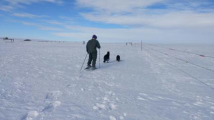 Deron Snowshoeing with GSD 2017-01-26