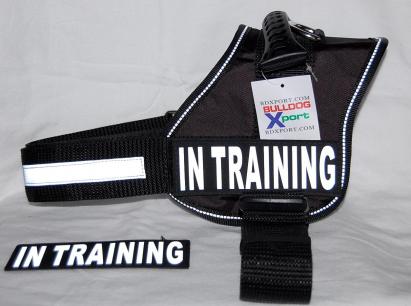 IN TRAINING Harness