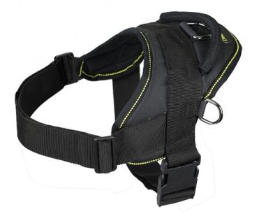 Dog Harness for Tracking