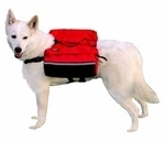 White GSD Red Backpack