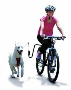 white german shepherd dog springer bike bicycle harnessed harness 